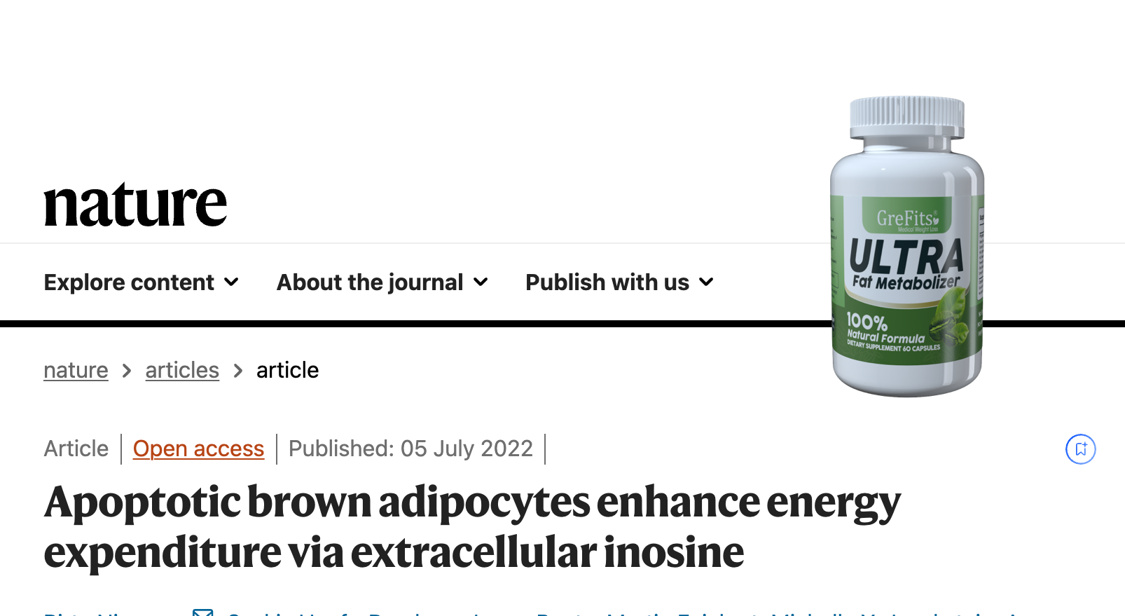 Brown Fat Activation Process